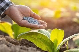 Nitrogenous Fertilizer Market