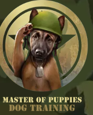 Masterof Puppies